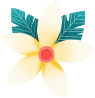 flower img